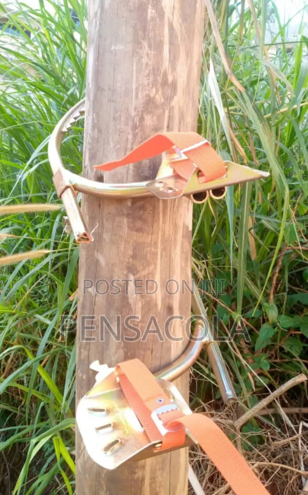Climbers (Pole Climbers) Concrete