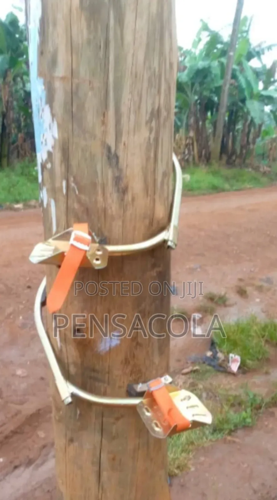 Climbers (Pole Climbers) Concrete
