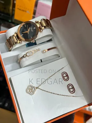 Dior Watch Package for Ladies
