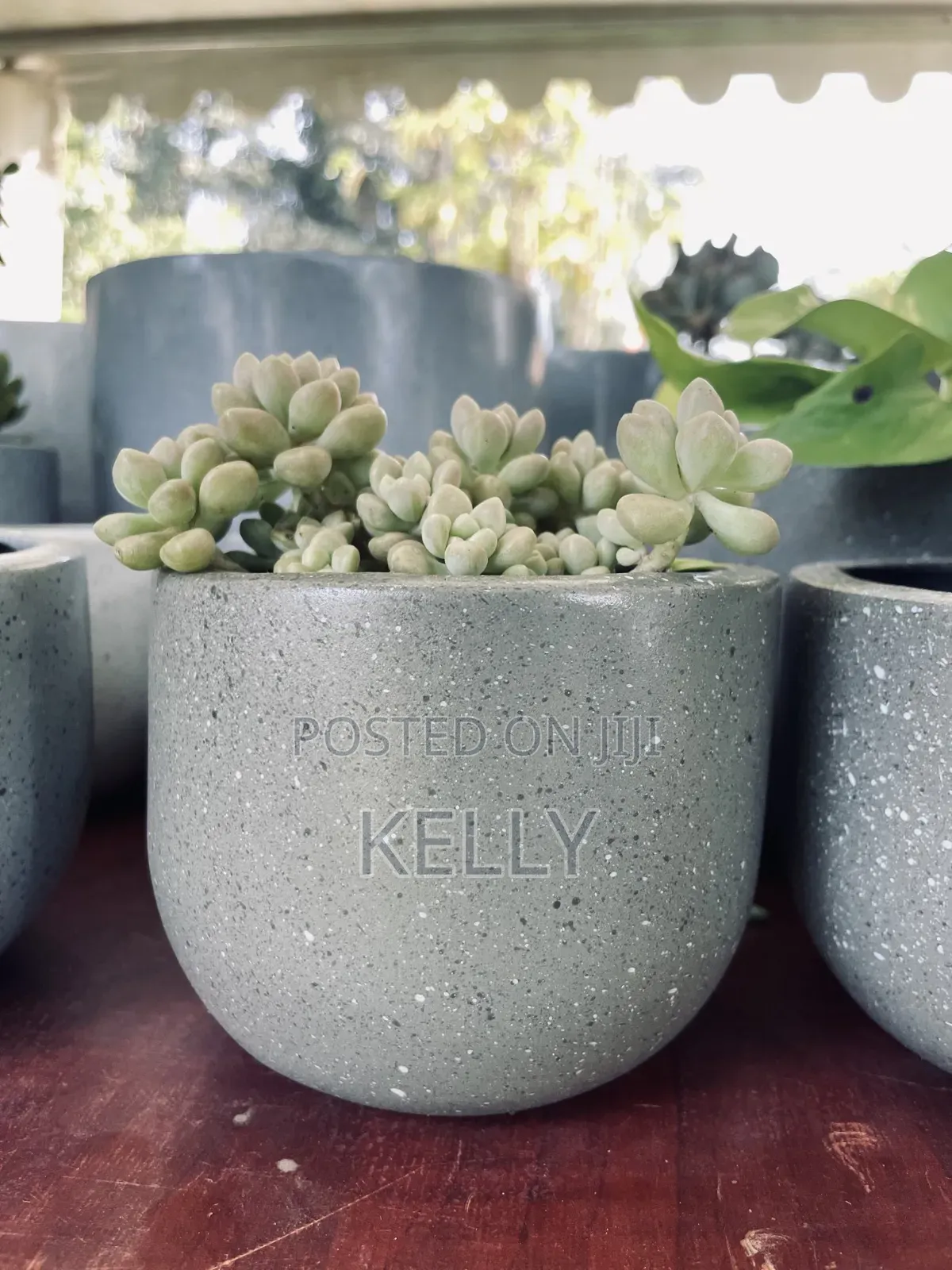 Fibreglass Flower Pots