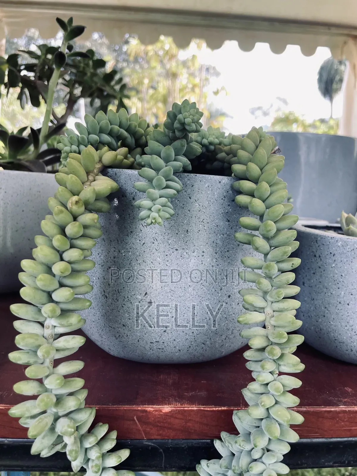Fibreglass Flower Pots