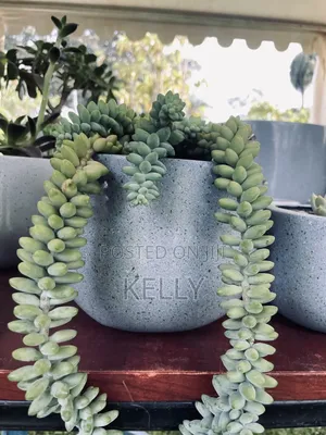 Fibreglass Flower Pots
