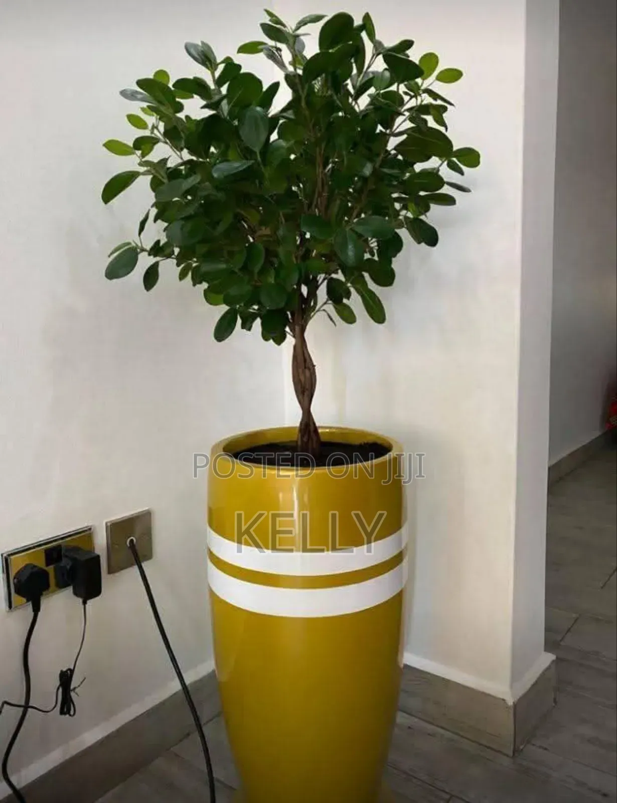 Fibreglass Flower Pots