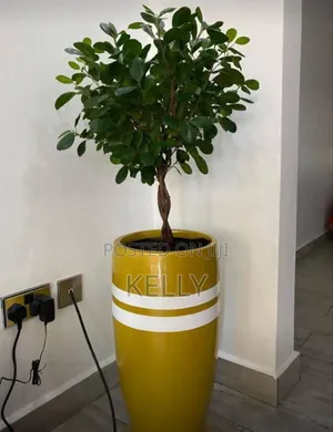 Fibreglass Flower Pots