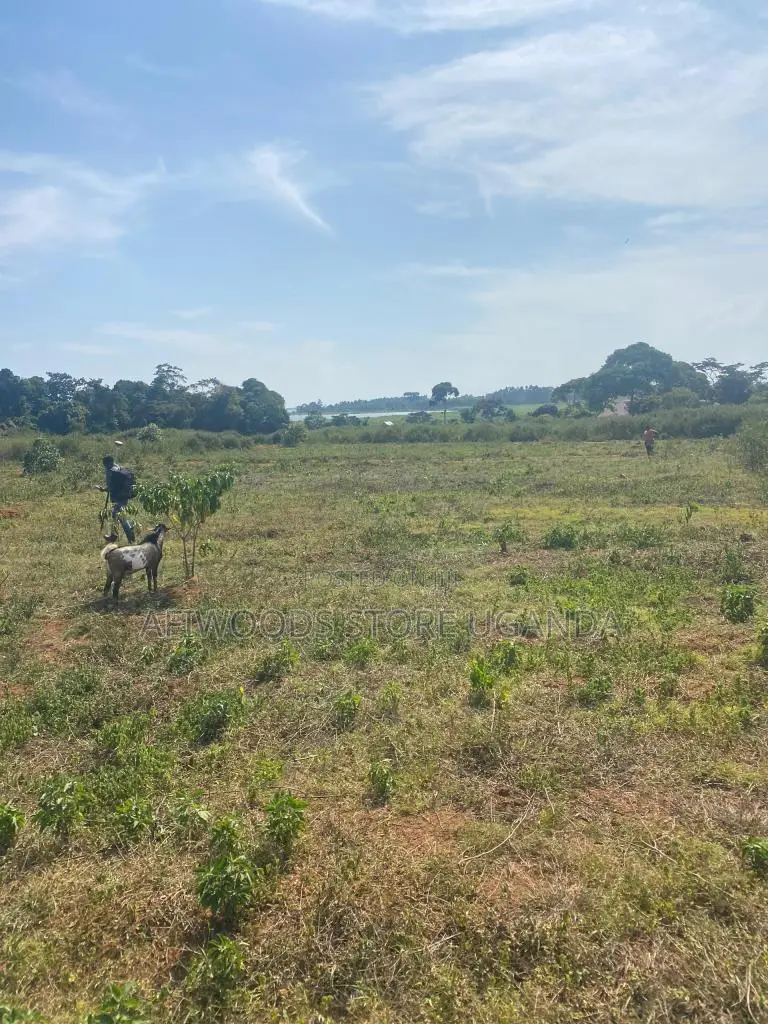 50 by 100ft Land for Sale With a Lake View in Buwaya Sazi