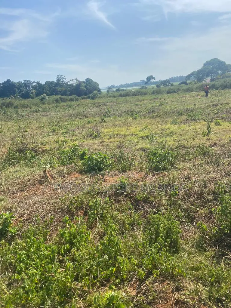 50 by 100ft Land for Sale With a Lake View in Buwaya Sazi