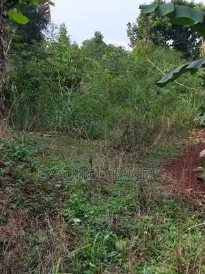 Photo - Plot in Nakawuka 40ft*198ft