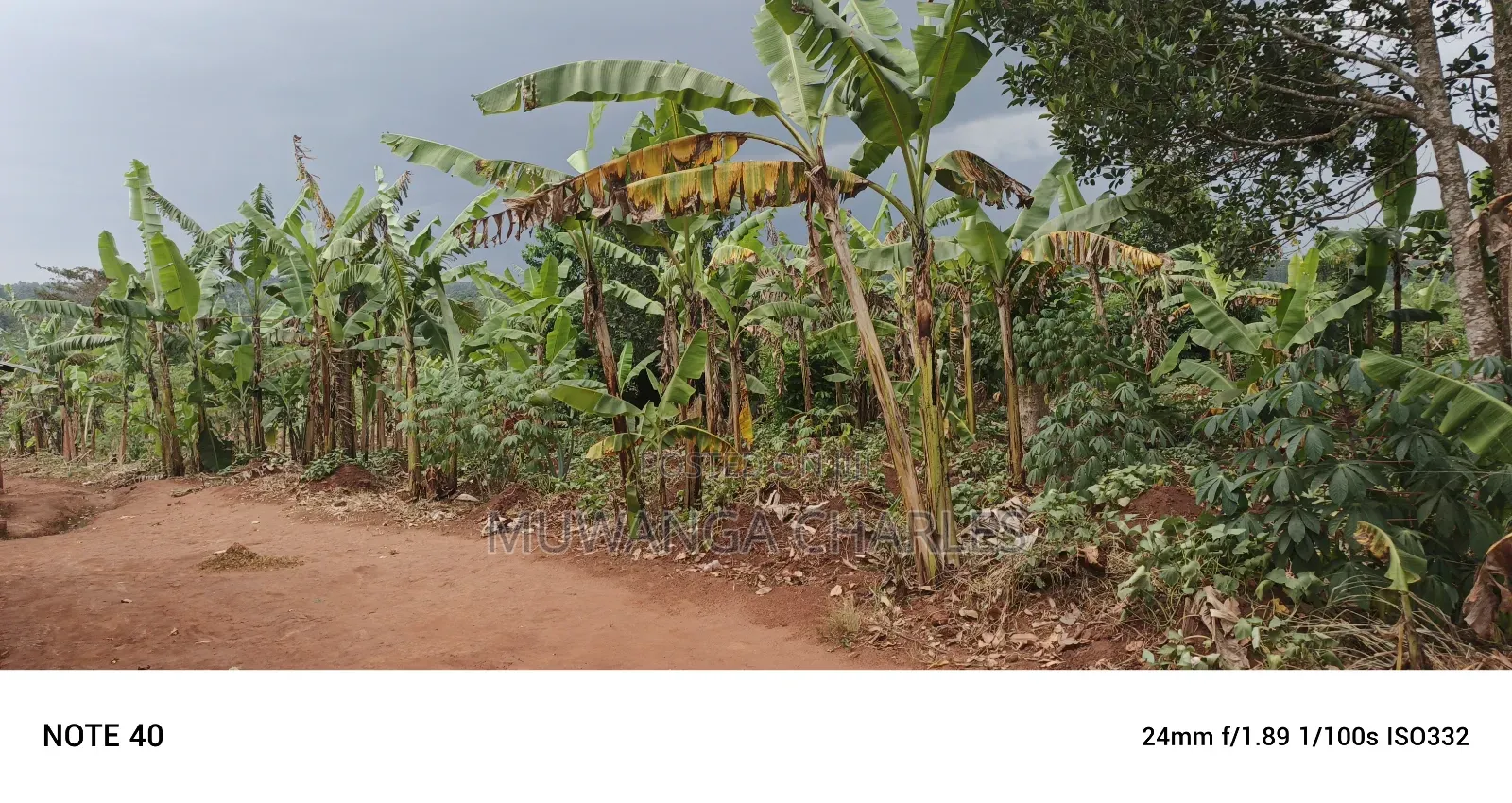 50decimals of Land for Sale in Gayaza Makenke