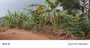 50decimals of Land for Sale in Gayaza Makenke