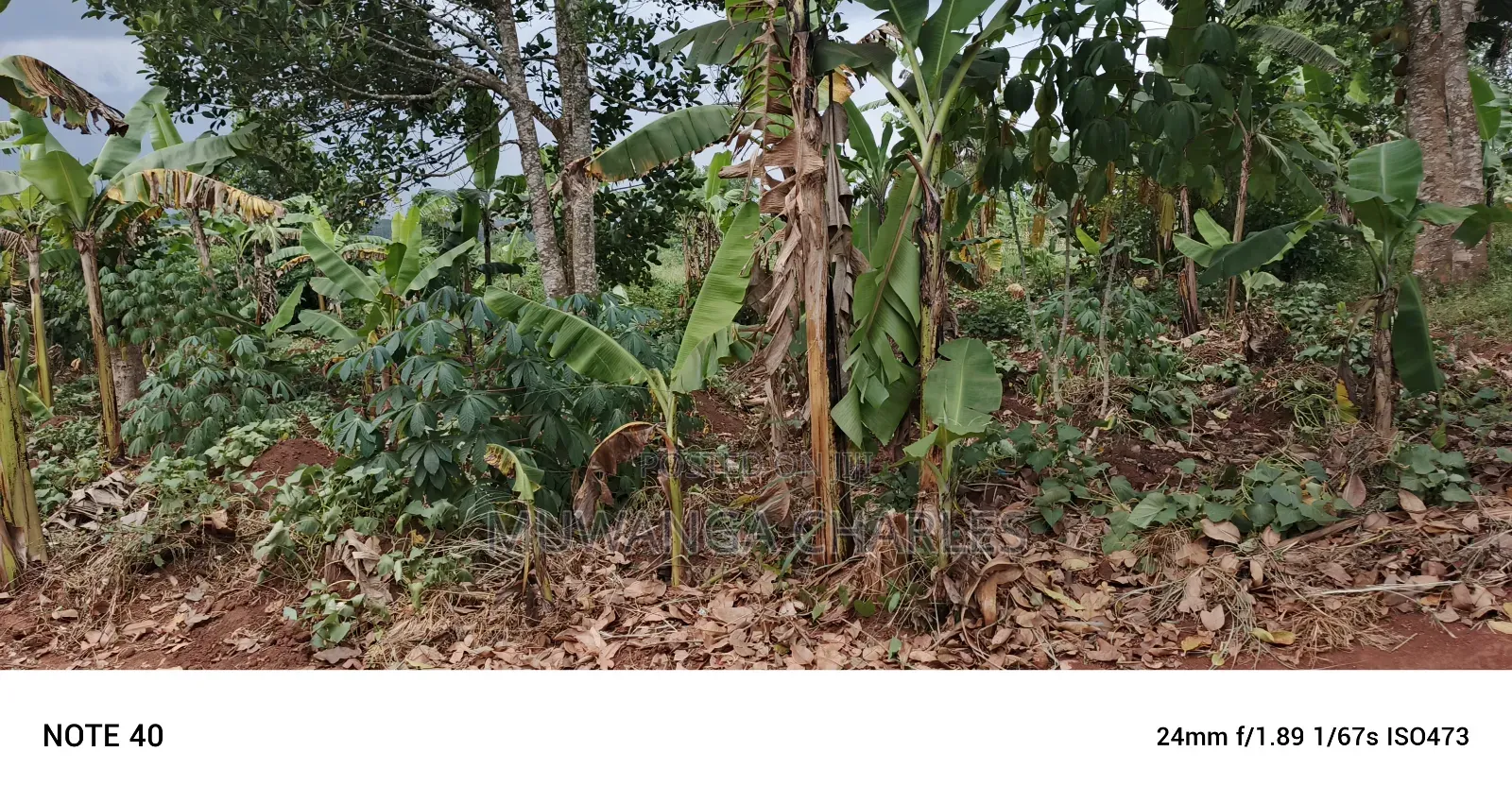 50decimals of Land for Sale in Gayaza Makenke