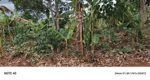50decimals of Land for Sale in Gayaza Makenke