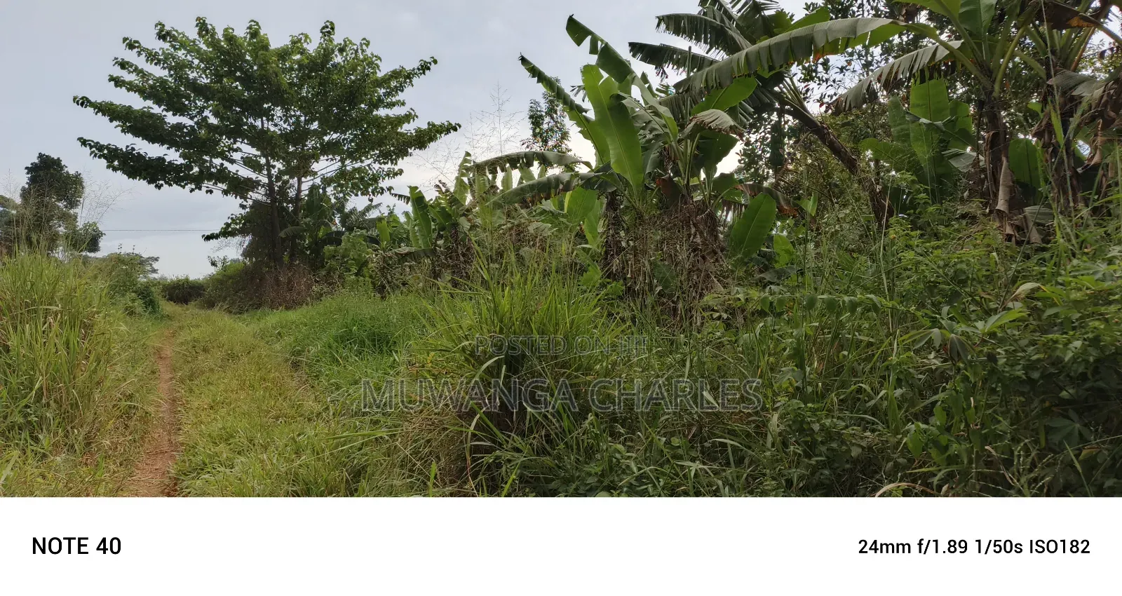 50decimals of Land for Sale in Gayaza Makenke