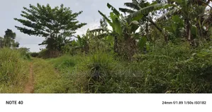 50decimals of Land for Sale in Gayaza Makenke