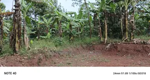 50decimals of Land for Sale in Gayaza Makenke