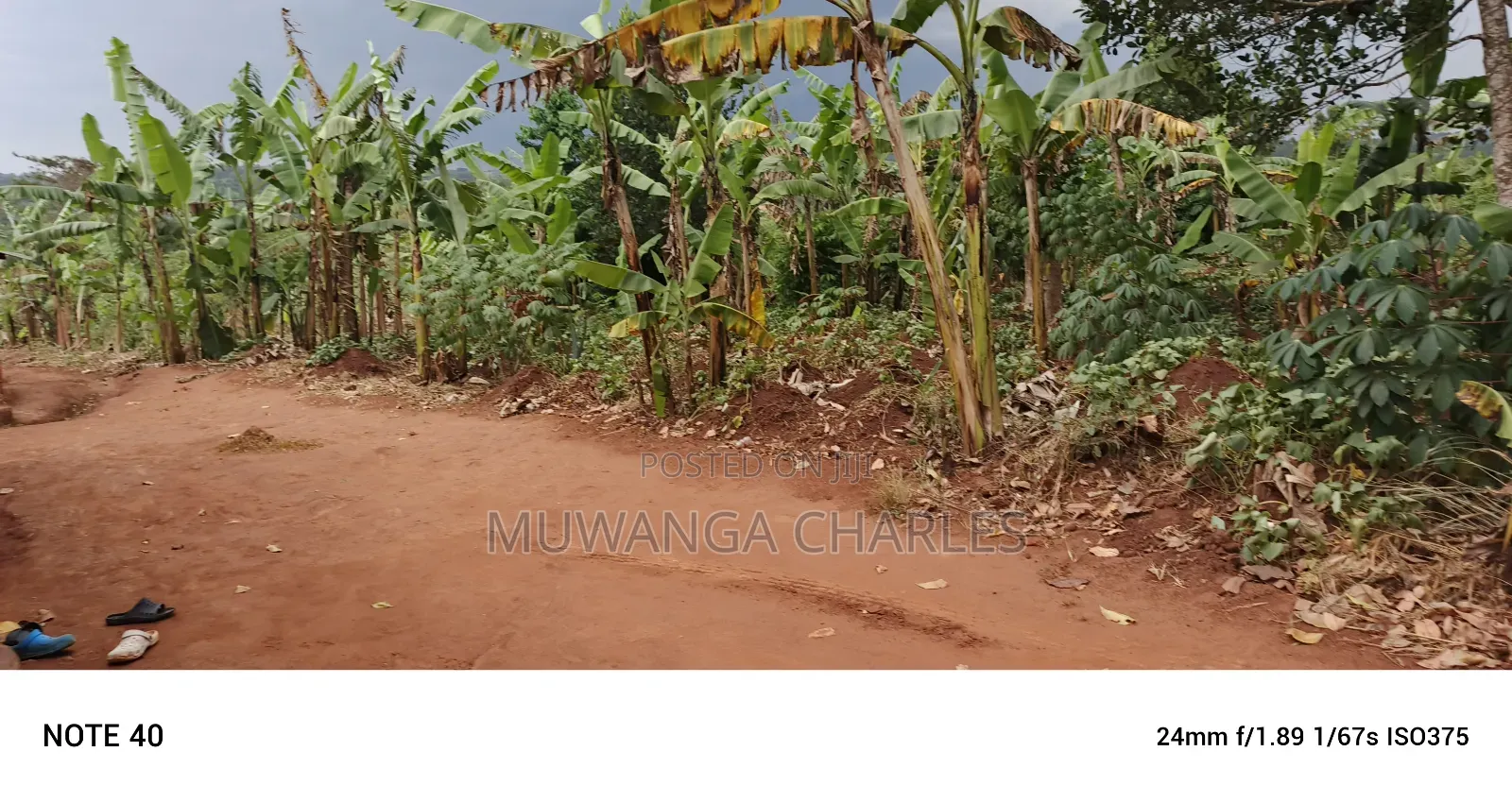 50decimals of Land for Sale in Gayaza Makenke