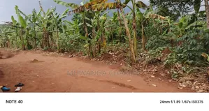 50decimals of Land for Sale in Gayaza Makenke