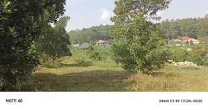 Plot for Sale in Gayaza Nabutaka