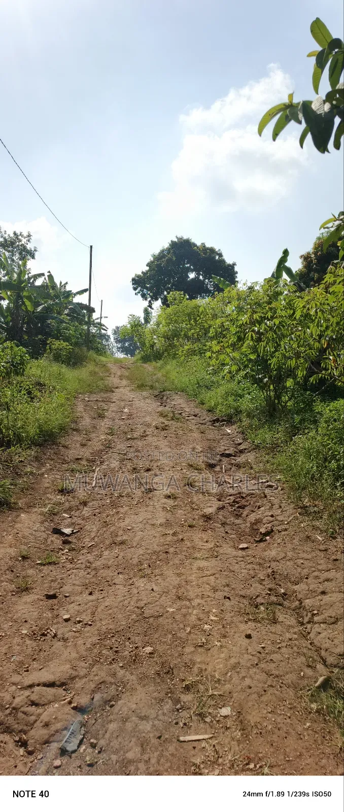 Plot for Sale in Gayaza Nabutaka