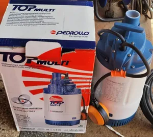 Italian 40m Pedrollo Submersible Pump