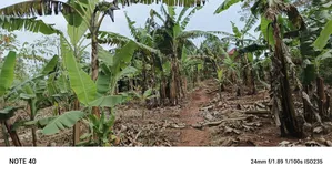 Plot for Sale in Kasangati