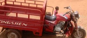 Tricycle 2024 Red
