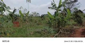 Plot for Sale in Kasangati