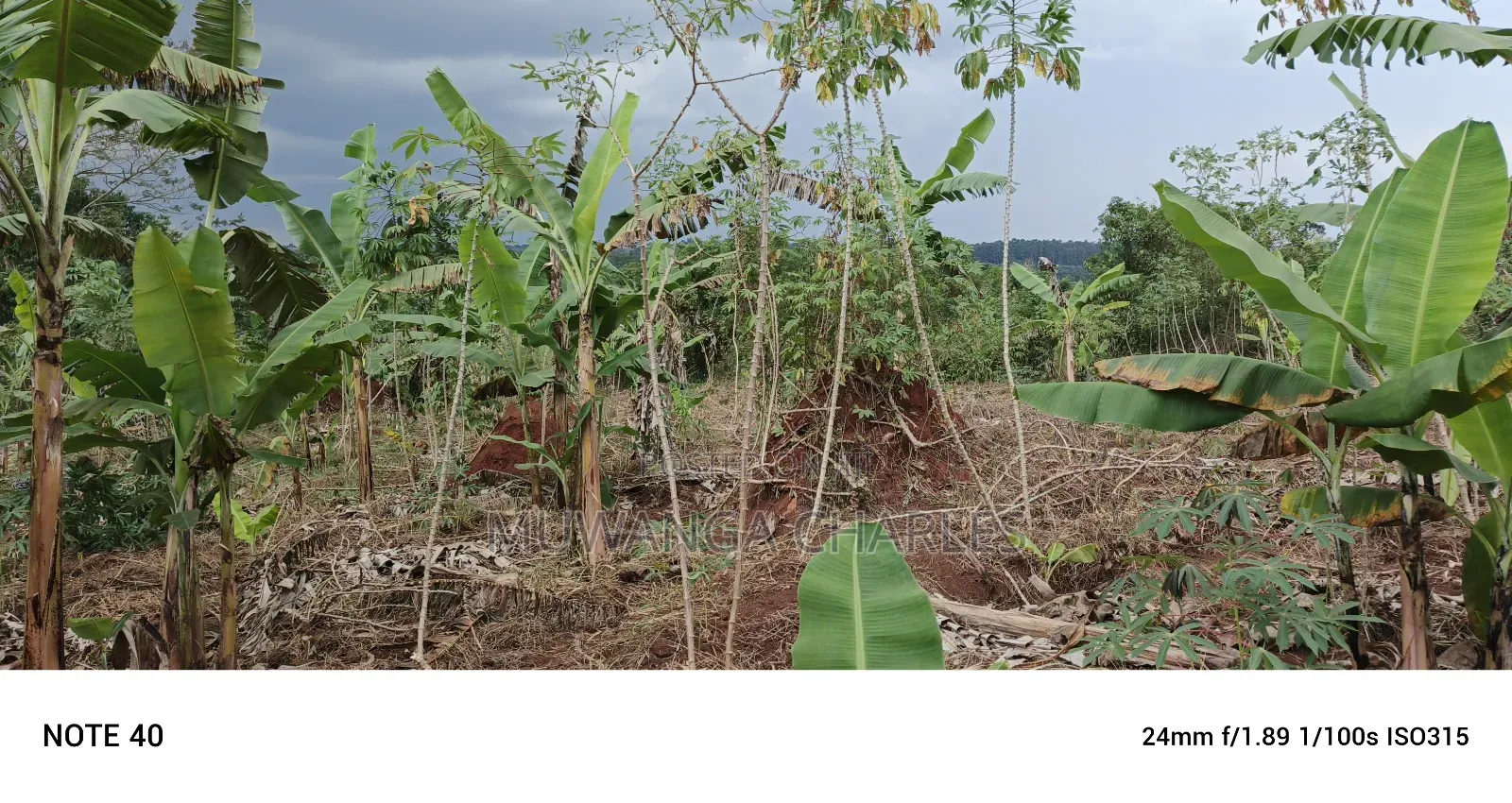 Plot for Sale in Kasangati