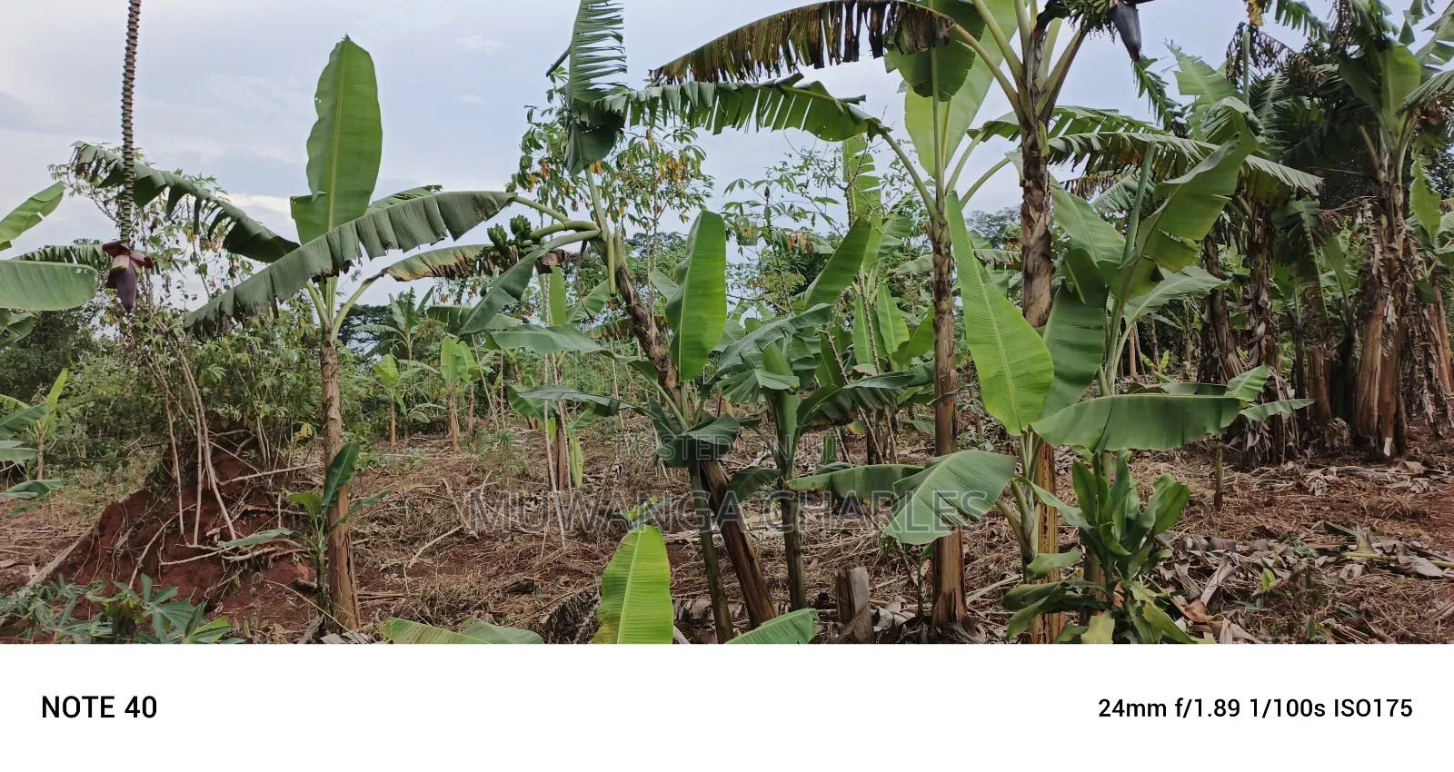 Plot for Sale in Kasangati