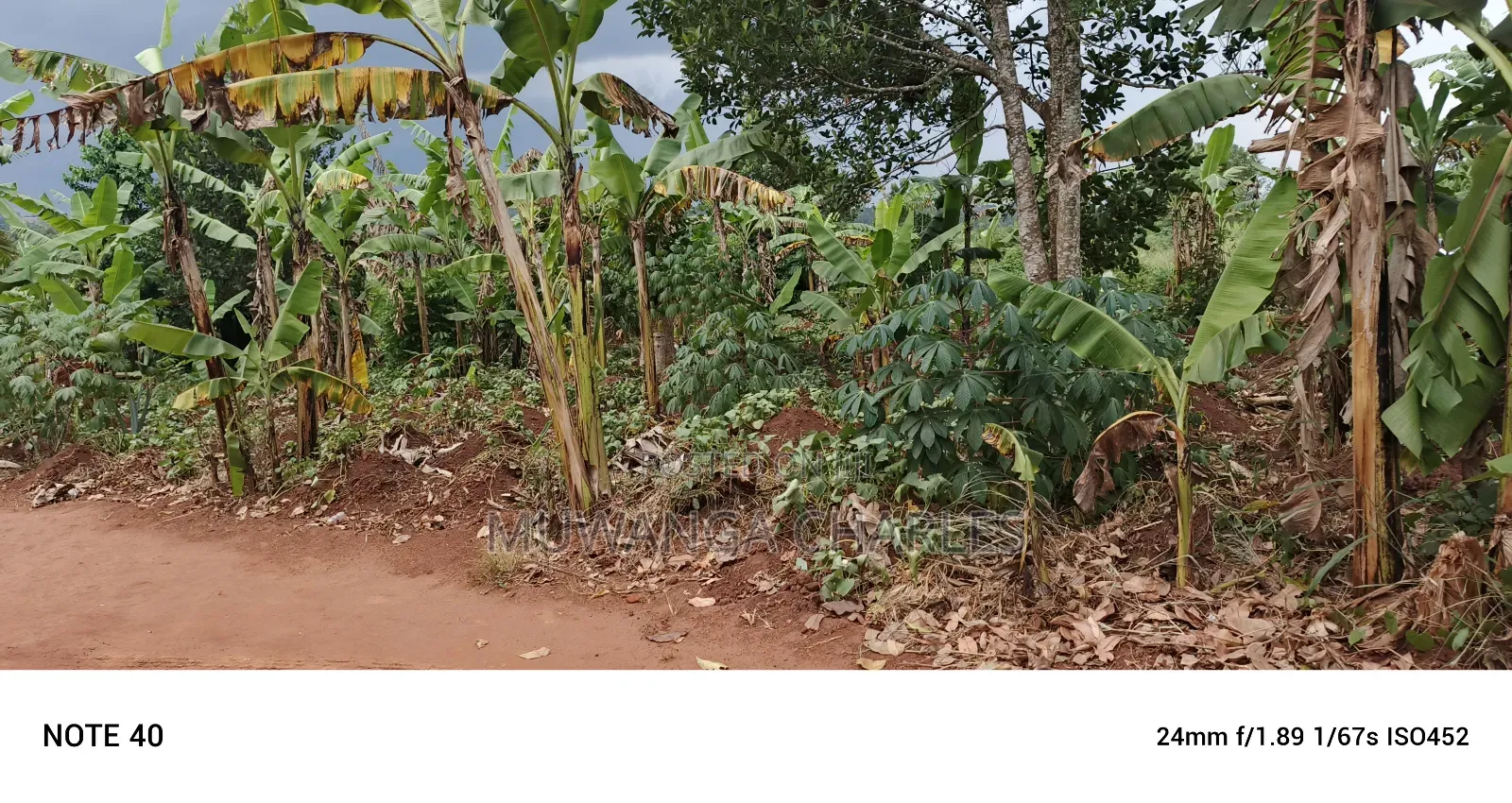 Plot for Sale in Kasangati