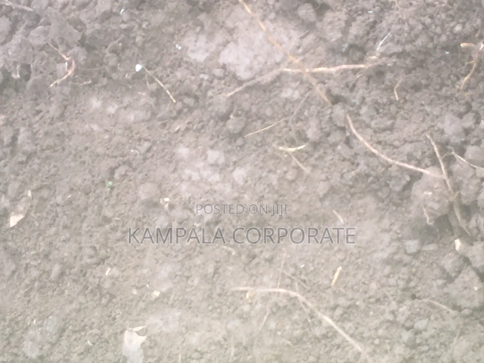 Black Soils for Sale