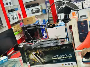 Bm800 Mic Professional Condenser Microphone