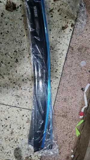 Wish New Model Rainguards 2013