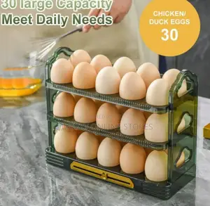Plastic Egg Storage Drawer