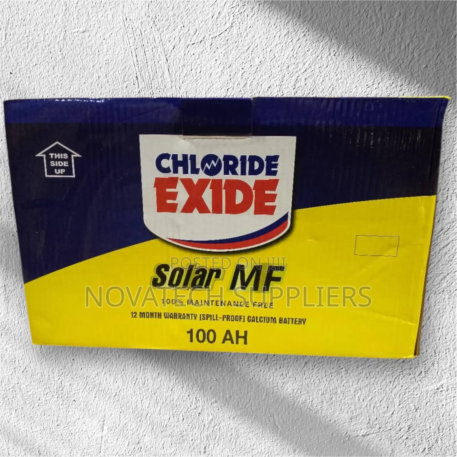 100ah Chloride Exide Maintenance Free Solar Batteries Xemb
