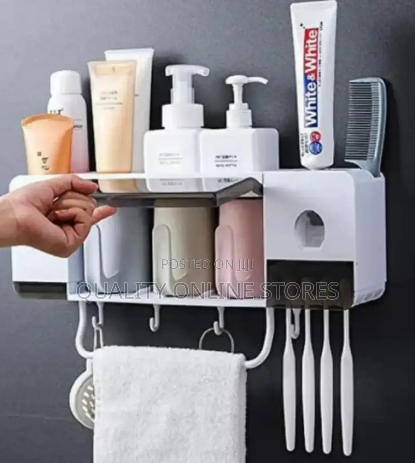 Mounted Toothbrush Holder