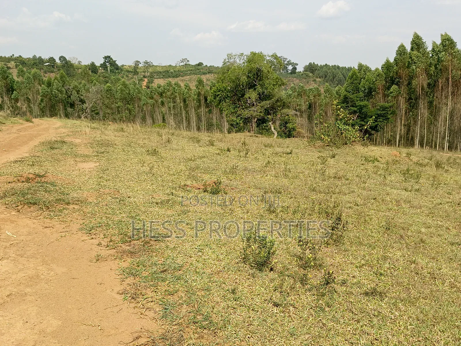 Plots on Sale