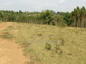 Plots on Sale
