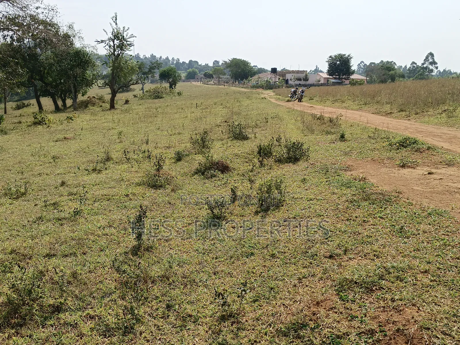 Plots on Sale