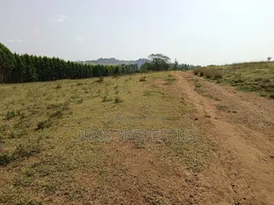 Plots on Sale
