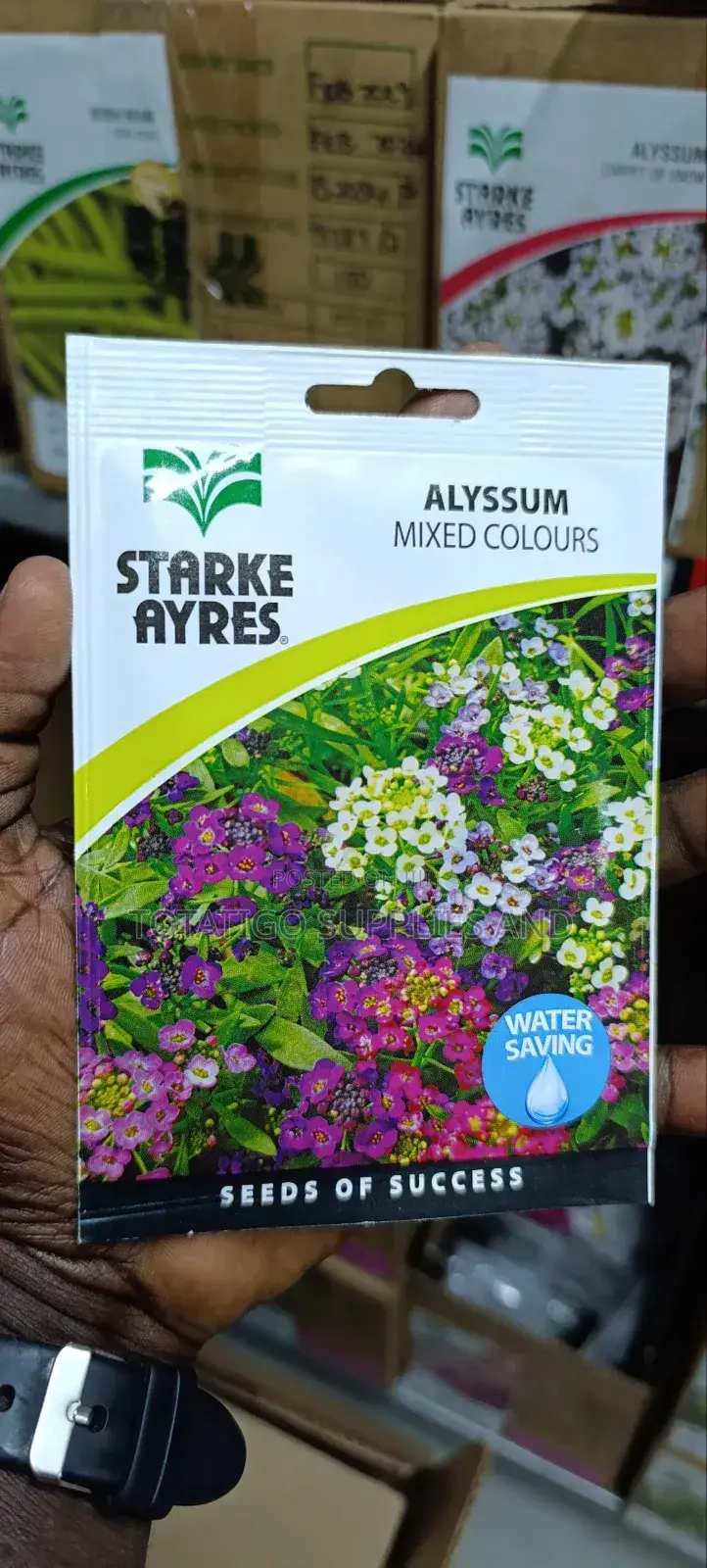 Flower Seeds