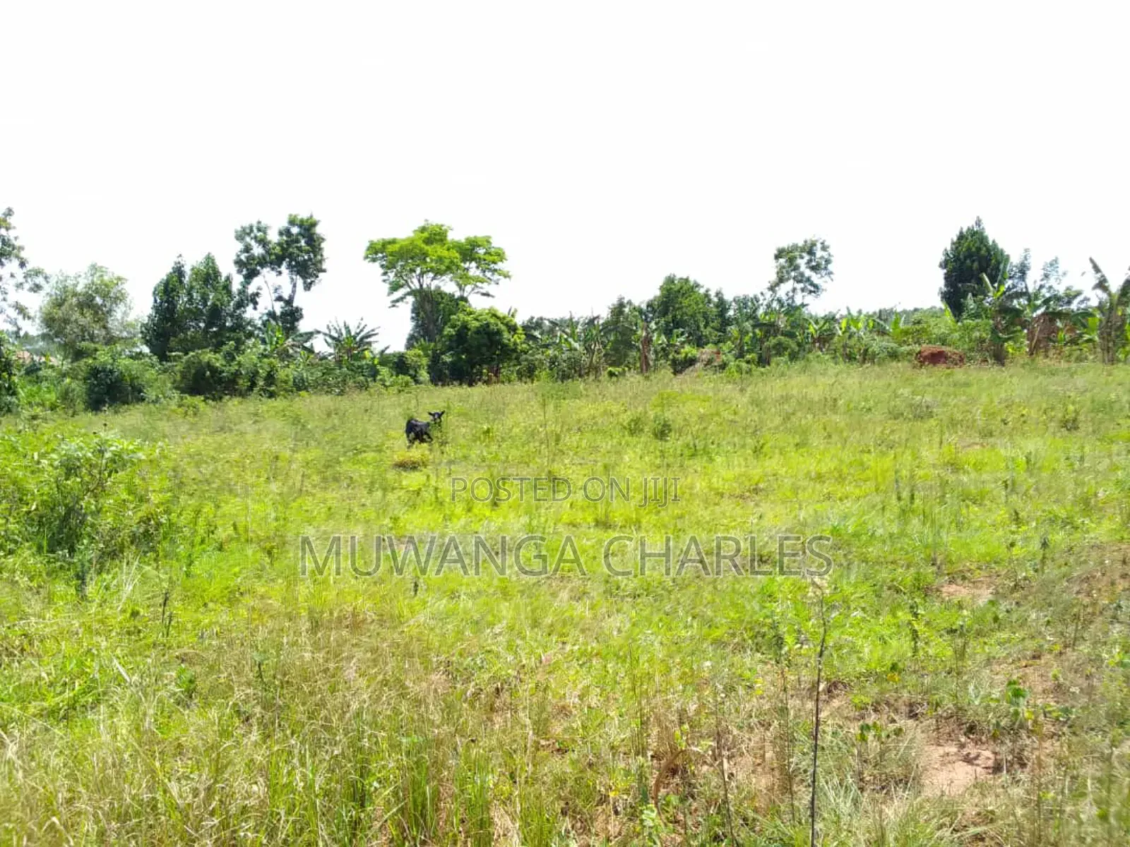 Plot for Sale in Gayaza