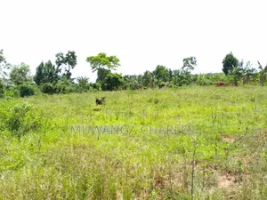 Plot for Sale in Gayaza