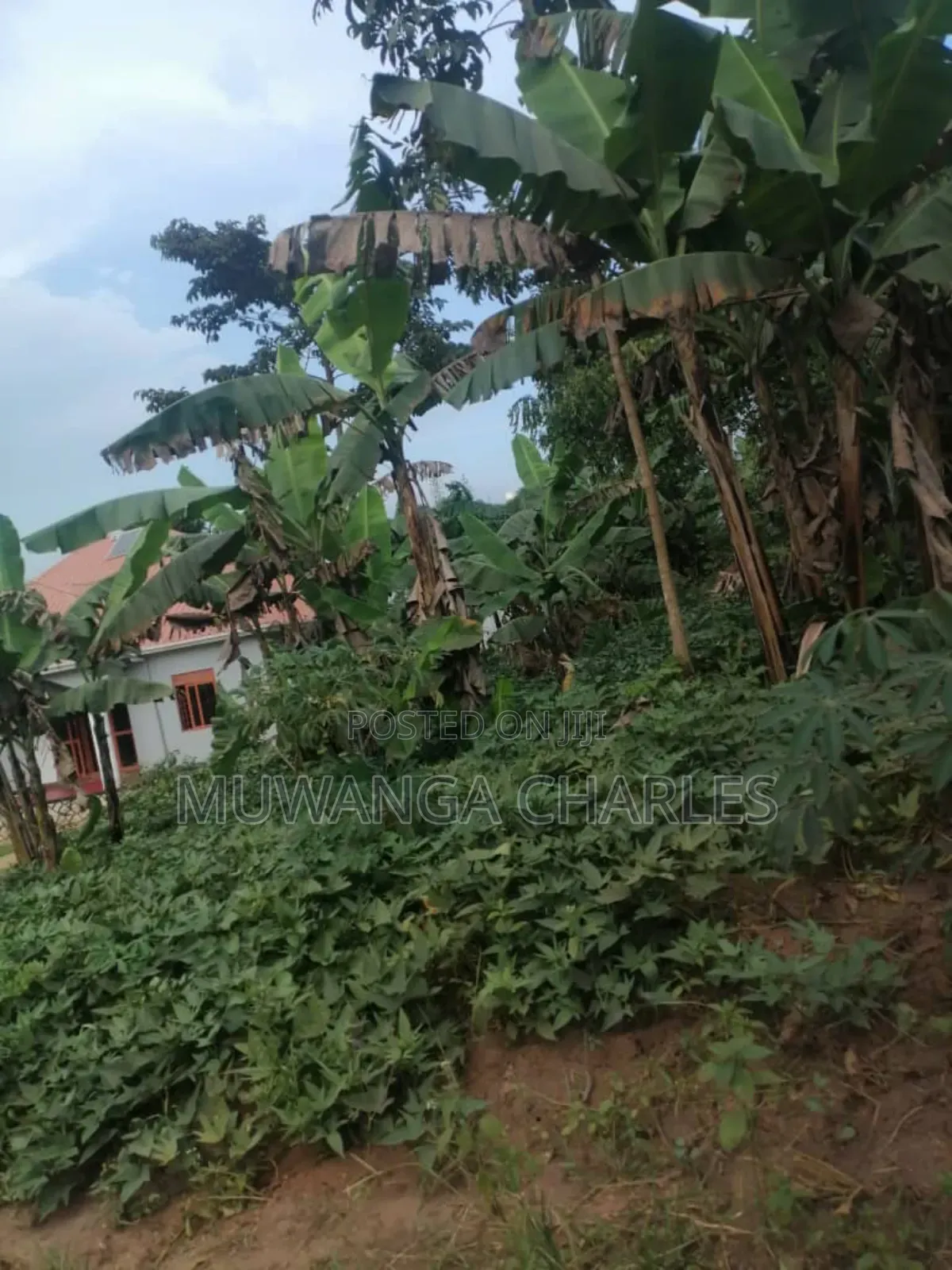 Plot for Sale in Gayaza