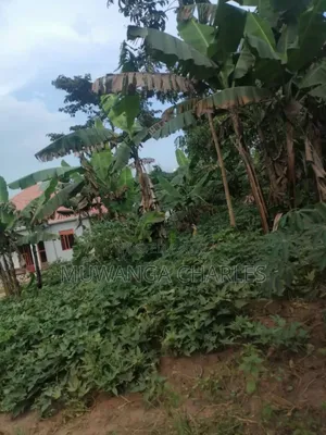 Plot for Sale in Gayaza