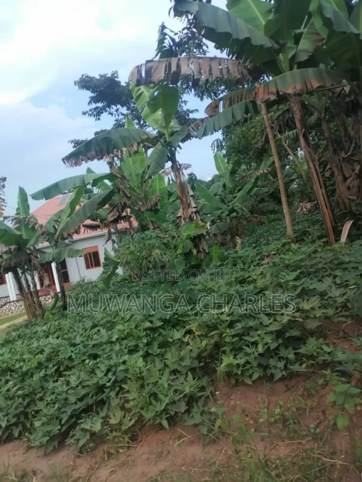 Plot for Sale in Gayaza