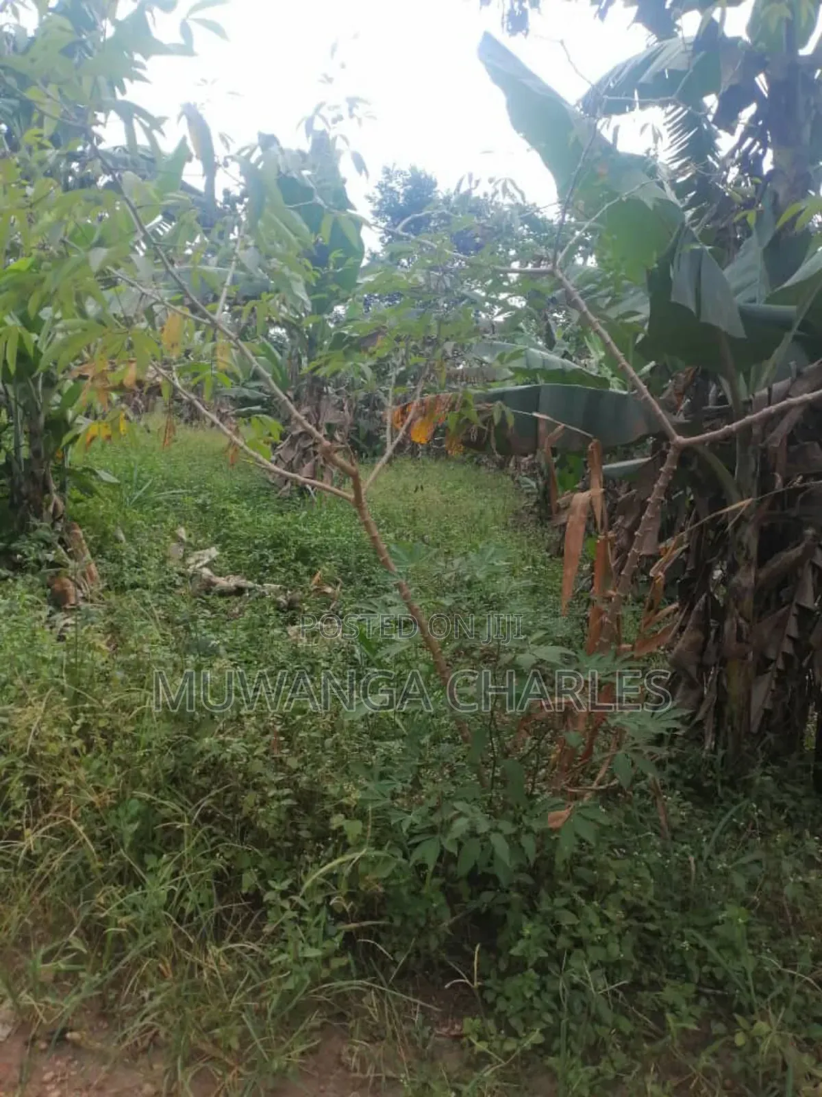 Plot for Sale in Gayaza