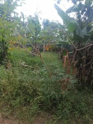 Plot for Sale in Gayaza