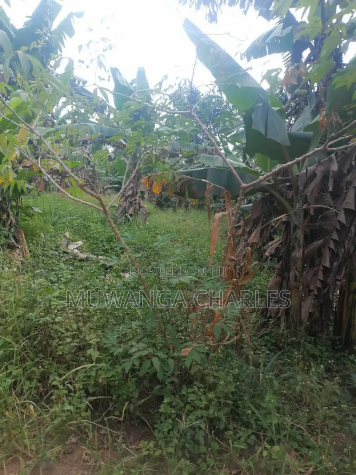 Plot for Sale in Gayaza