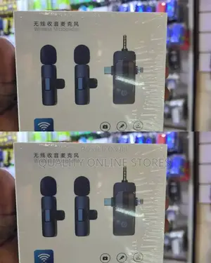 Mini Wireless Microphone