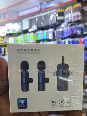 Mini Wireless Microphone